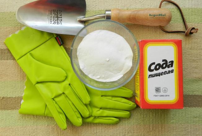 Как приготовить средство для мытья посуды своими руками – 5 экономных рецептов