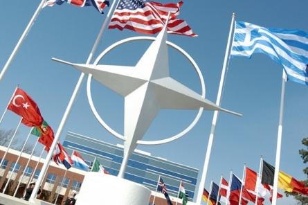 Трамп выступил за вступление Бразилии в НАТО