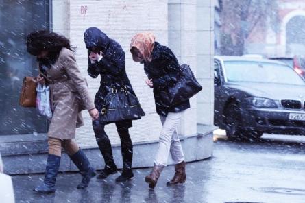 Синоптики оценили вероятность выпадения снега в Москве
