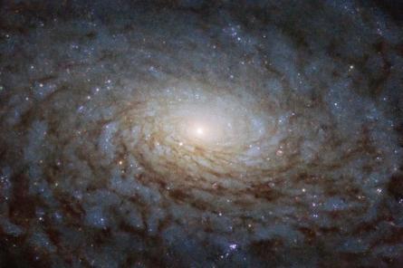 Hubble показал «портал в другое измерение»
