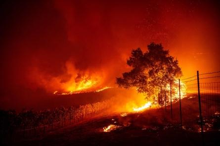 Пожар в Калифорнии стал причиной эвакуации 180 тысяч жителей