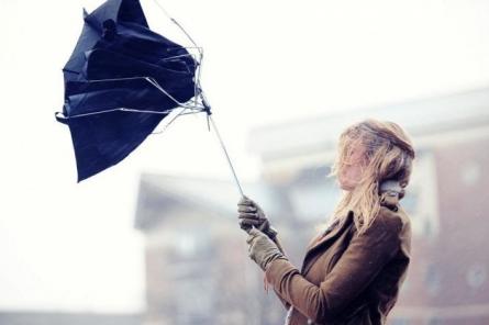 Готовьтесь: захватите зонт! О погоде на понедельник в Латвии