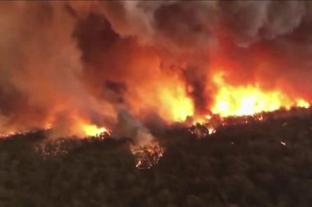 В Австралии массово эвакуируют города из‑за надвигающихся пожаров