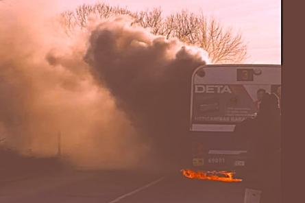 Какой ужас! В Риге прямо на дороге горит автобус Rīgas satiksme (ФОТО)