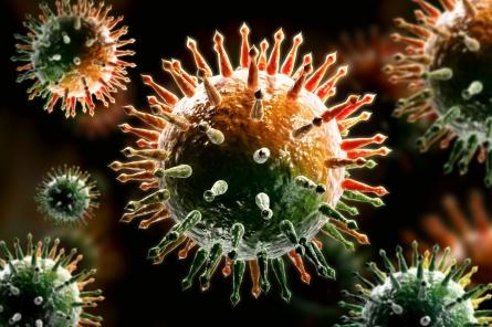 Ученые назвали неожиданный фактор появления новых вирусов