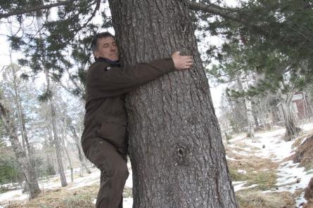 В службе лесного хозяйства Исландии предложили обнимать деревья