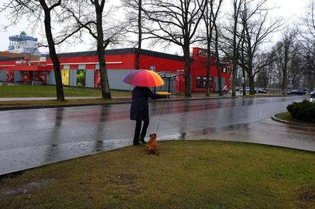 Что с погодой на понедельник в Латвии? Синоптики сделали прогноз