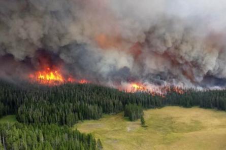 В России начался очередной лесной пожар – горят 13452,10 га леса