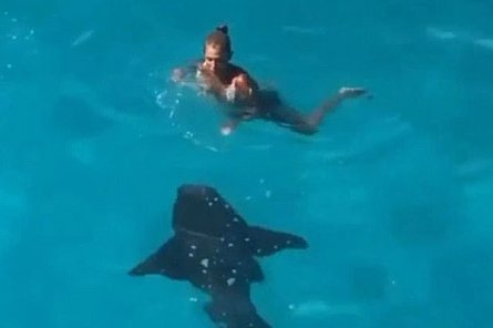 Девушка скатилась с аттракциона прямо к акуле (+ВИДЕО)