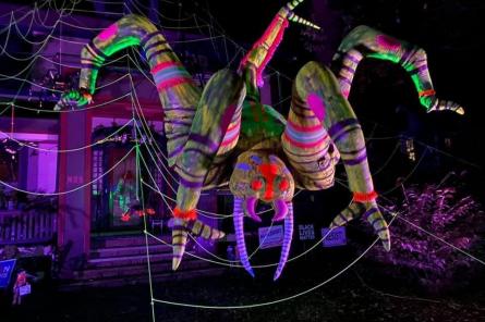 Американец украсил дом к Хэллоуину огромным движущимся надувным пауком