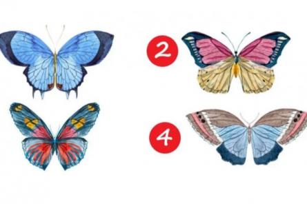 Выбери бабочку и узнай свои самые сильные качества