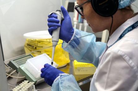 Российские ученые создали комбинированную тест-систему для коронавируса и гриппа