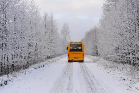 В Латвии откроют бесплатные автобусные маршруты. Где и когда?