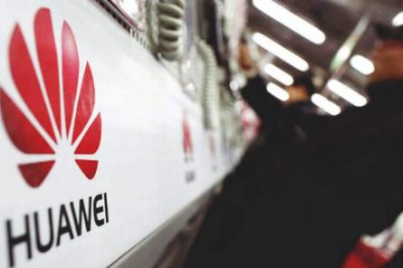 Huawei займется свиноводством из-за падения продаж смартфонов