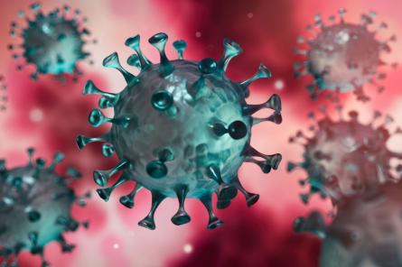 Новый индийский штамм коронавируса обеспокоил ученых