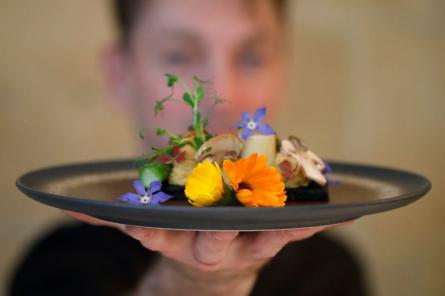 Ресторан во Франции ввел меню с блюдами из насекмоых