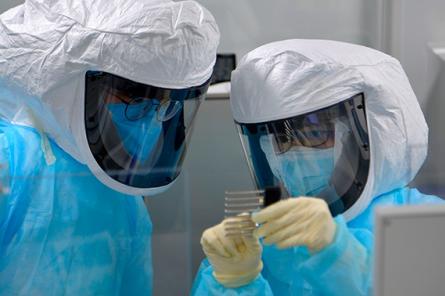 Врачи предупреждают: в Великобритании обнаружена новая мутация коронавируса