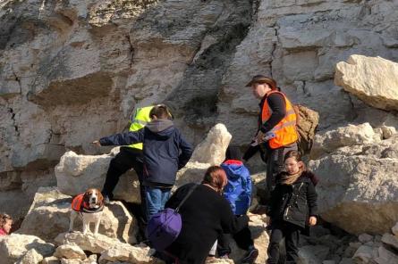 Собака-палеонтолог откопала кость древнего носорога