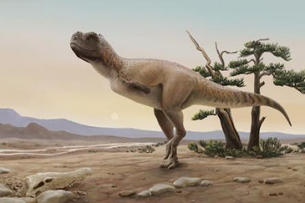 В Бразилии обнаружили кости нового вида хищных динозавров