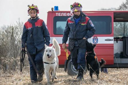 Московские собаки спасли 25 жизней в 2021 году