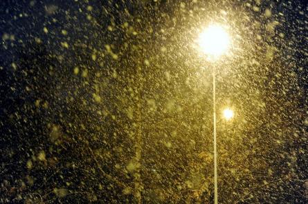 Метель и сильный снегопад: в Латвии объявлено оранжевое предупреждение