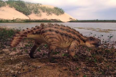 В Чили нашли странного анкилозавра