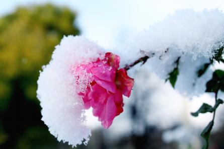 Красное предупреждение: Латвию заваливает снегом