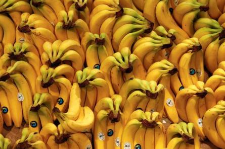 Полицейские оценили чистоту и подсчитали стоимость кокаина в ящиках с бананами