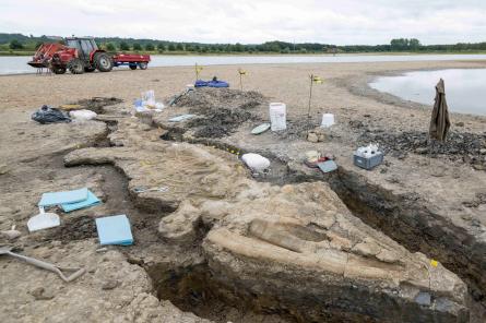 В Британии нашли скелет «морского дракона»