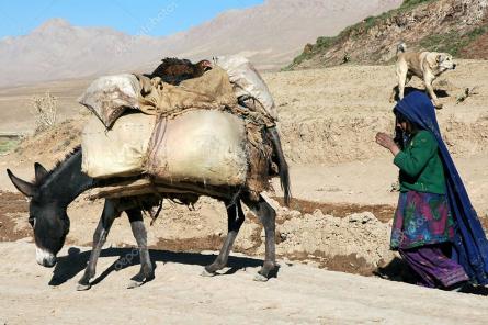 ООН призвала мир срочно собрать 4,4 млрд евро для помощи Афганистану