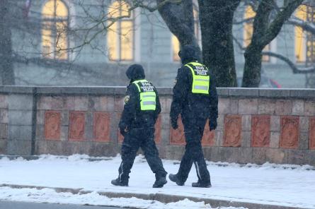 Латвийских полицейских отправят в Грузию