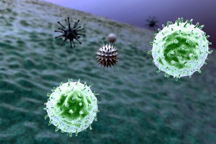 ВОЗ: созданы условия для появления более опасного штамма коронавируса
