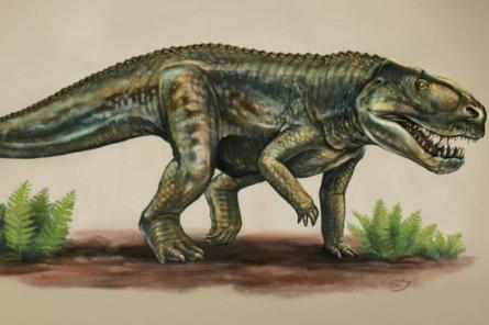 В эволюции крокодилов нашли недостающее звено