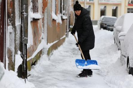 «До трёх сантиметров снега»: синоптики удивили прогнозом на воскресенье в Латвии