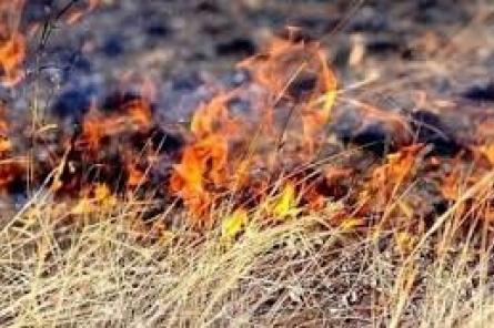 В Лудзенском крае в результате пожара прошлогодней травы погиб человек