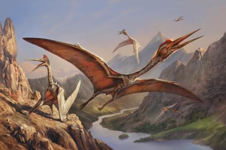 У летающих динозавров обнаружили способность контролировать цвет перьев