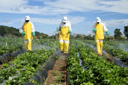 Латвия вместе с рядом других странам призывает отложить ограничения пестицидов