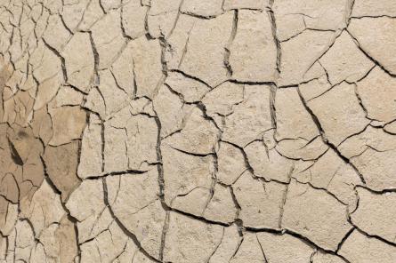 В Италии - сильнейшая за 70 лет засуха; в пяти регионах чрезвычайное положение