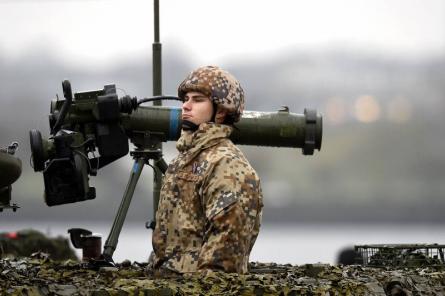 Представители Латвии и Швеции обсудили укрепление обороны