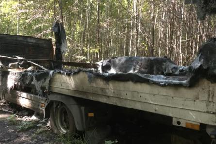 Жители Зиепниекалнса нашли в лесу украденный грузовик с продуктами