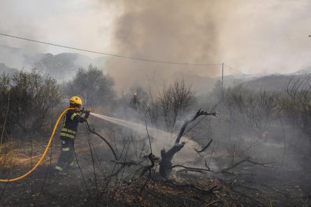 Крупный лесной пожар на северо-востоке Испании вынудил эвакуировать 1500 человек