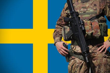 В Швеции хотят ввести всеобщую военную подготовку