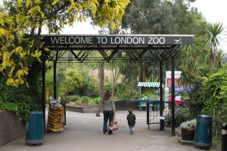 В Лондонском зоопарке измерили всех 15 тысяч его обитателей
