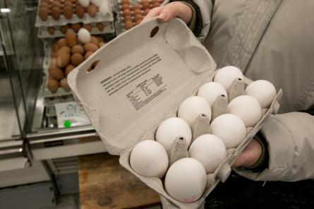 На всех не хватит: в Европе и США растут цены на яйца