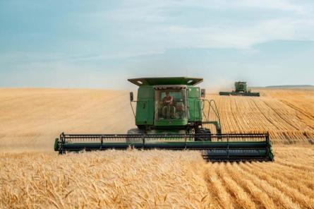 Неожиданно: поставки российского зерна в Латвию взлетели. Кто виноват?