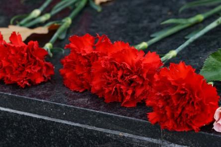 До 5 лет тюрьмы за цветы на месте снесенного памятника. Не повторяйте 9 мая