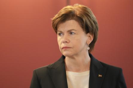 Главы МИД стран Балтии и Исландии в среду посетят с визитом Грузию