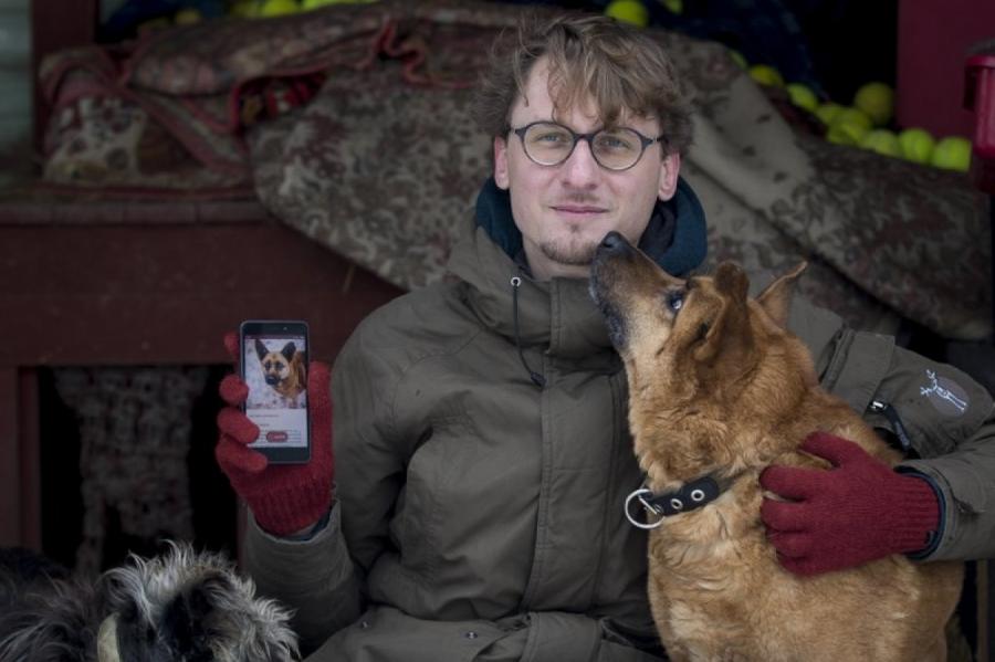 Литовцы создали собственный Tinder для бездомных собак