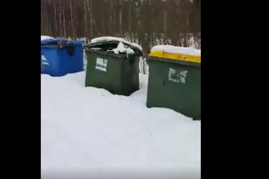 Латвийцы в шоке от переполненных мусорников с трупами животных в приюте (ВИДЕО)