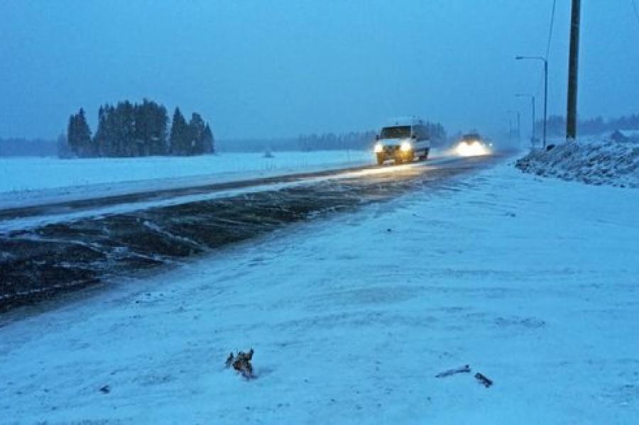 Казалось, что только в Риге: власти Финляндии бьют тревогу из-за ям на дорогах